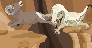 Submission thumbnail