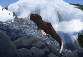 Submission thumbnail