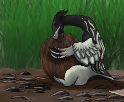 Submission thumbnail