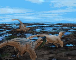 Submission thumbnail