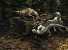 Submission thumbnail