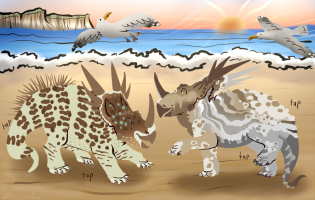 Submission thumbnail