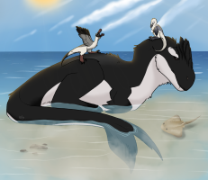 Submission thumbnail