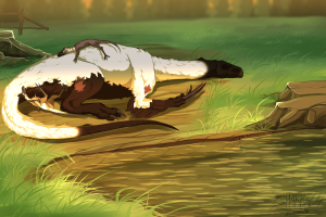 Submission thumbnail