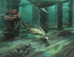 Submission thumbnail