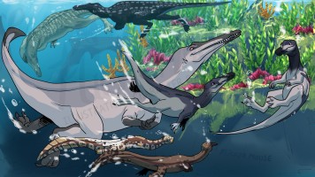 Submission thumbnail