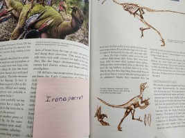 Submission thumbnail