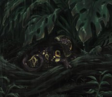 Submission thumbnail