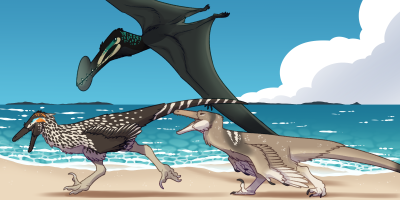 Submission thumbnail